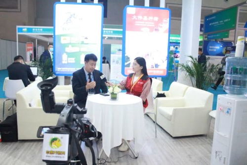 精準把握市場動向，沈陽偉嘉以技術(shù)驅(qū)動服務(wù)創(chuàng)新